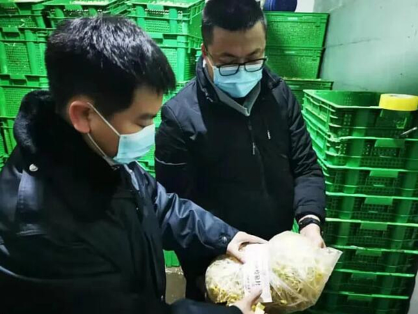 市市场监管综合执法支队开展豆芽专项监督抽检工作，筑牢食用农产品批发安全防线